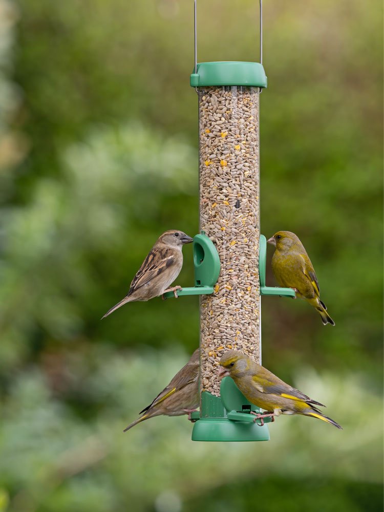 bl2-s2g "bird lovers" comedero tubular para aves silvestres mediano para mezcla de semillas fcil de limpiar
