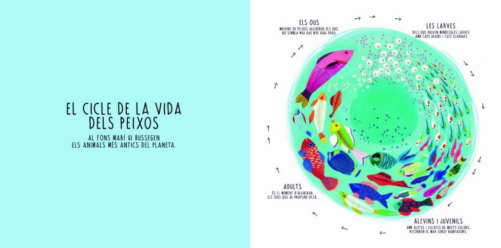 infinit. els cicles mgics de l'univers