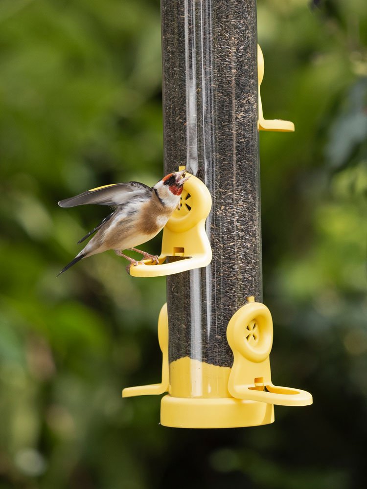 flo-n2y 'flo' comedero tubular para aves silvestres mediano para semillas de negrillo de desmontaje fcil