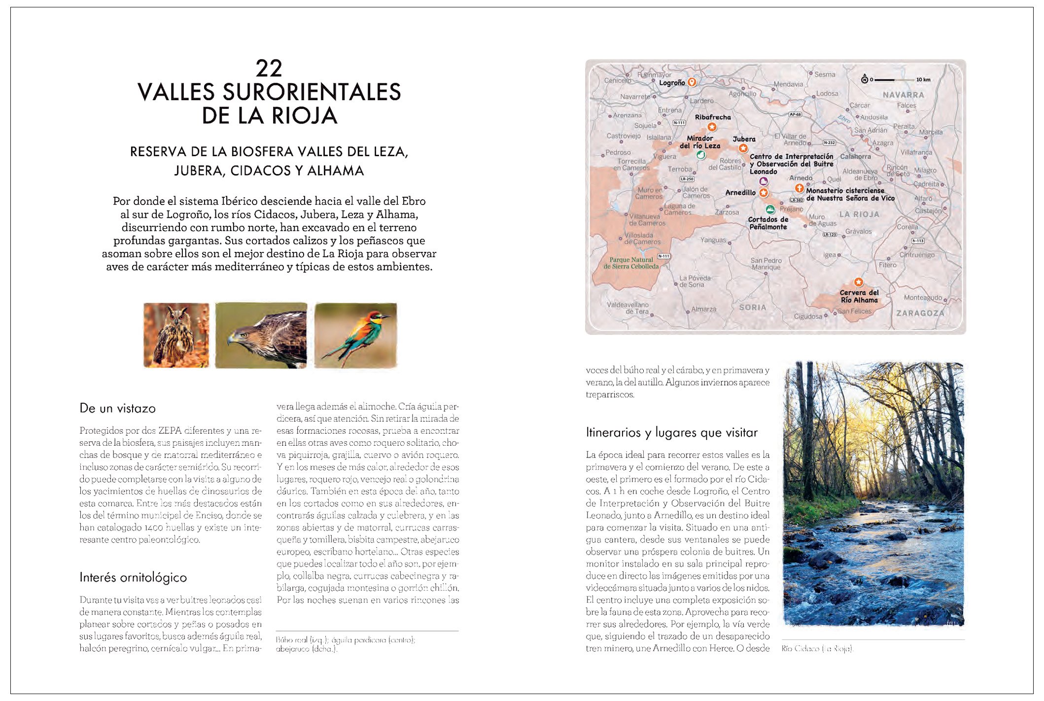 de pajareo. rutas ornitolgicas por espaa