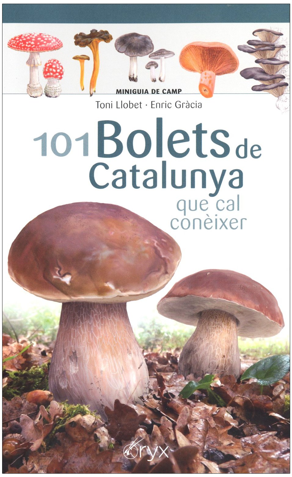 101 bolets de catalunya que cal conixer. miniguia de camp