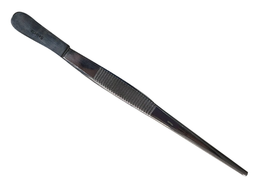 pinzas de diseccin recta punta fina 14 cm