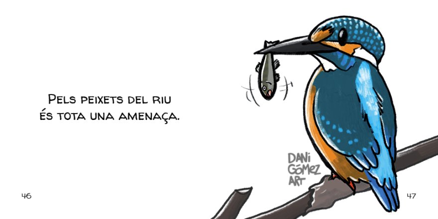 ocells. collecci animalades
