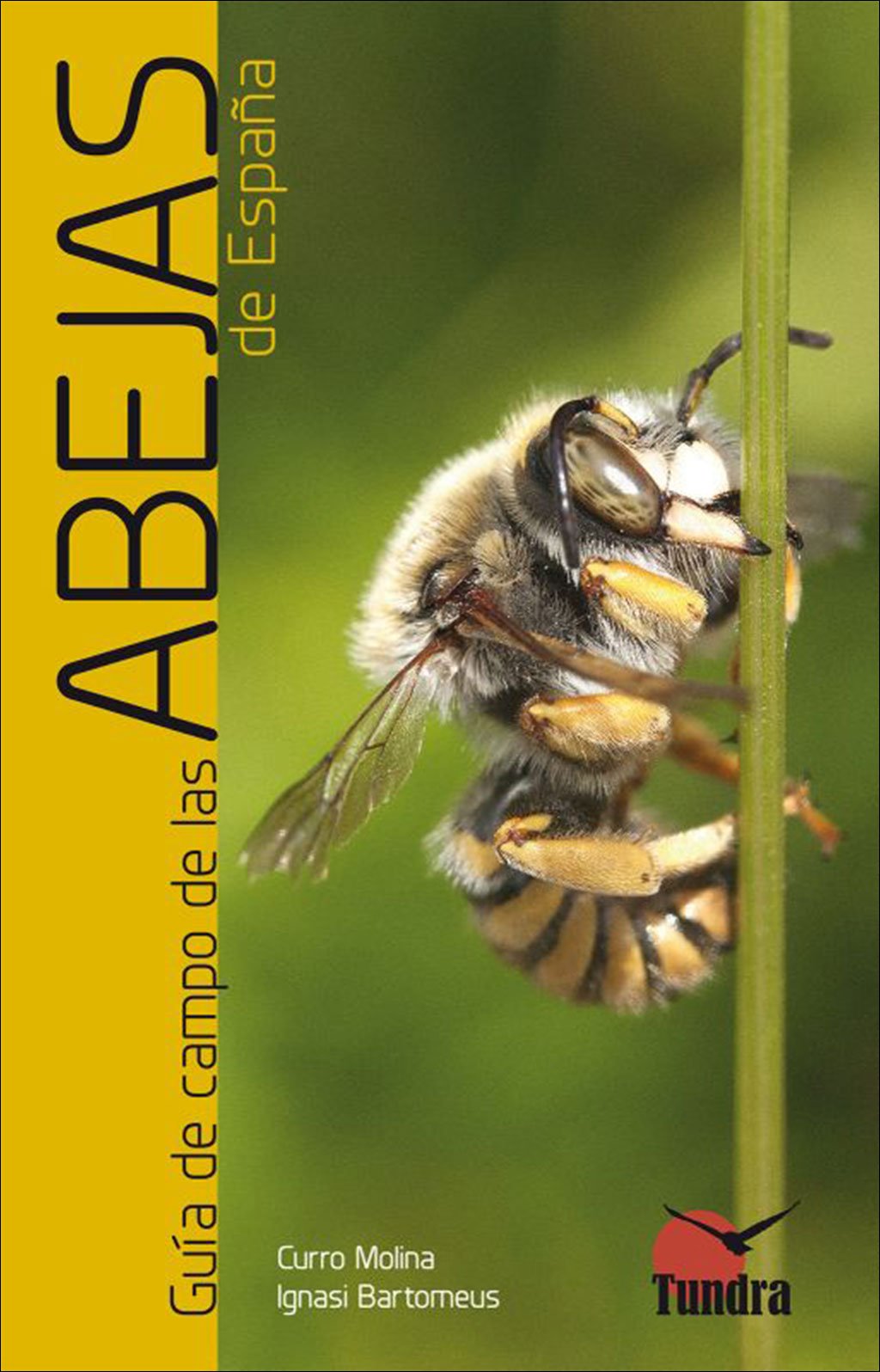 gua de campo de las abejas de espaa