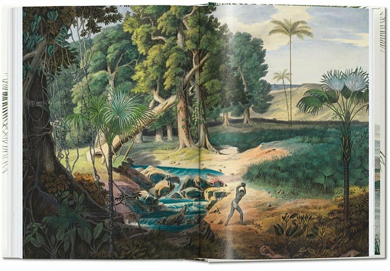 the book of palms. edicin 40 aniversario