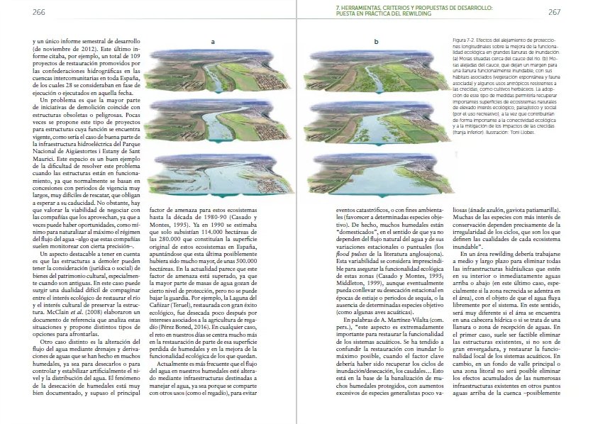 rewilding iberia. explorando el potencial de la renaturalizacin en espaa