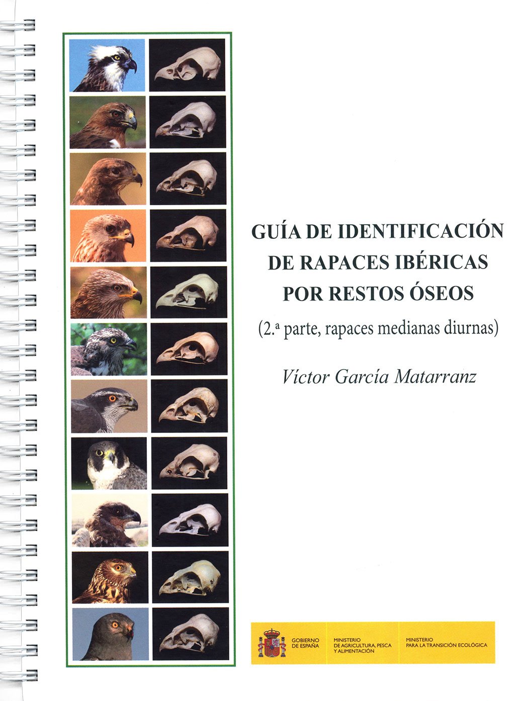 gua de identificacin de rapaces ibricas por restos seos. (2 parte, rapaces medianas diurnas)