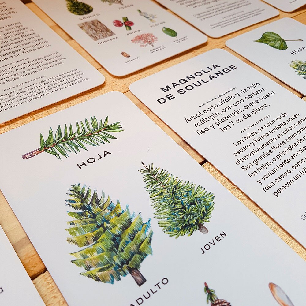 avista el rbol. identifica 30 rboles con estas cartas
