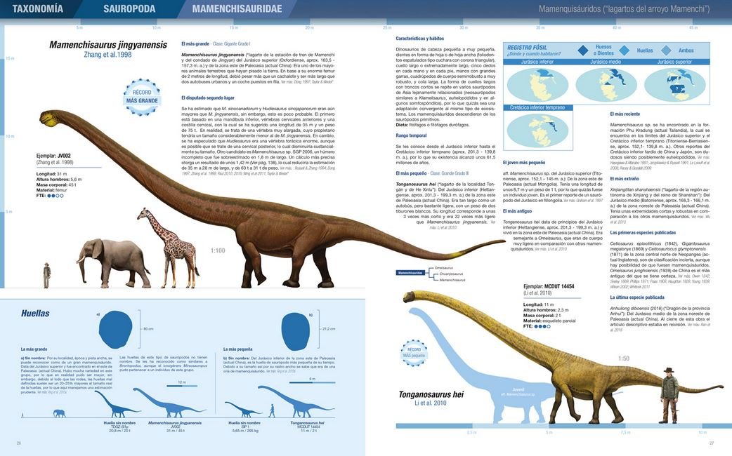 rcords y curiosidades de los dinosaurios. saurpodos y otros sauropodomorfos