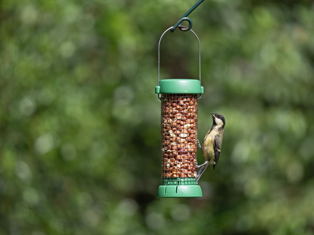 bl2-p1g "bird lovers" comedero tubular para aves silvestres pequeo para cacahuetes