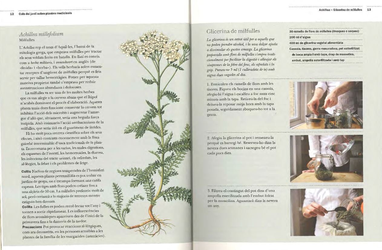 guia del jard sobre plantes medicinals. remeis casolans i plantes guaridores de la a a la z