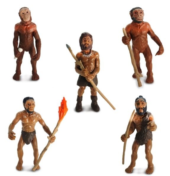 figuras evolucin del hombre