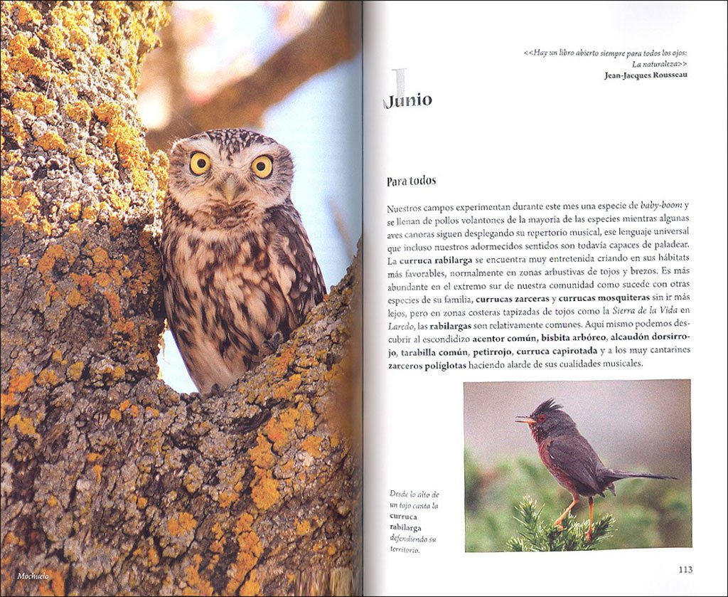 cundo y dnde ver aves en cantabria. propuestas mes a mes para familias, aficionados y expertos