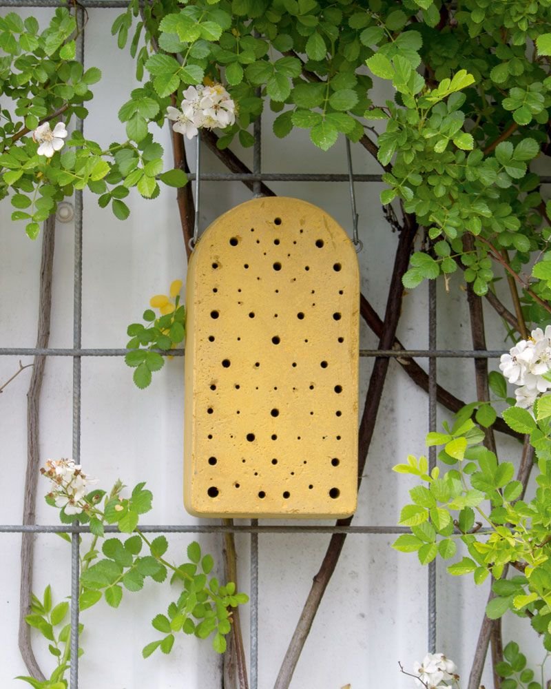 nido para himenpteros de cemento-madera