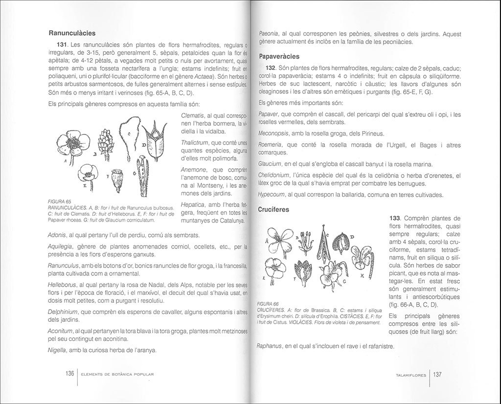 elements de botnica popular