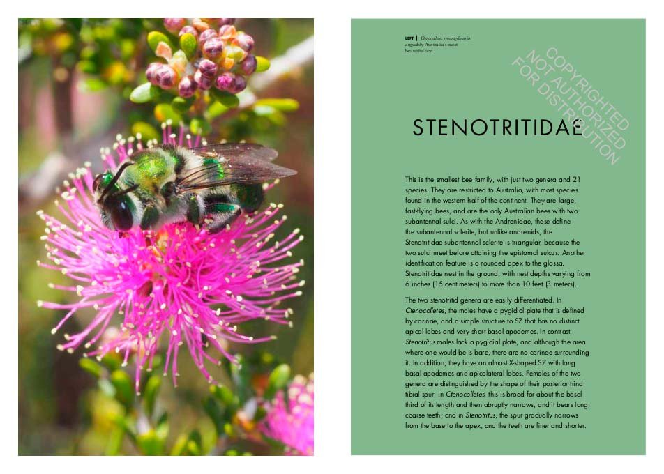 bees of the world. a guide to every family
