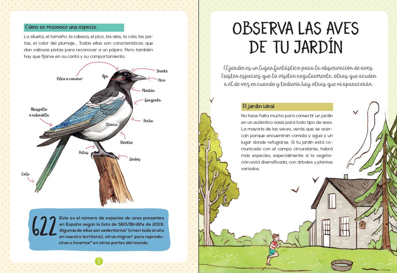 mi pequea gua de la naturaleza. las aves. observarlas. comprenderlas. protegerlas.