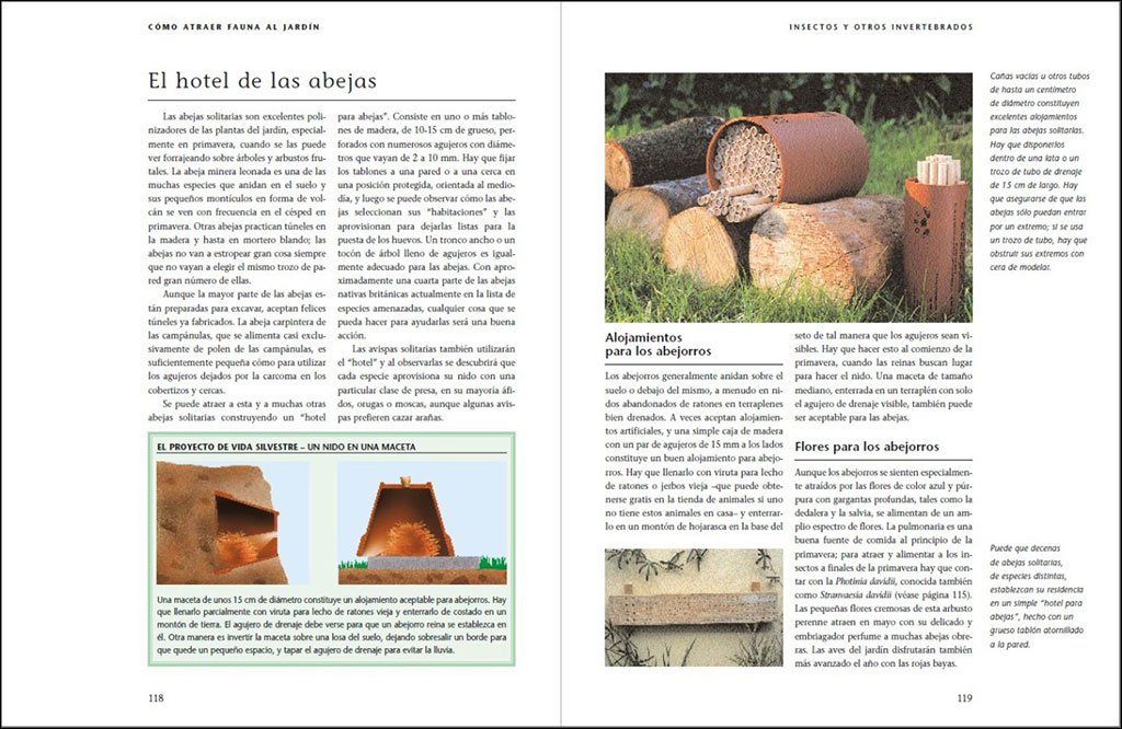 cmo atraer fauna al jardn