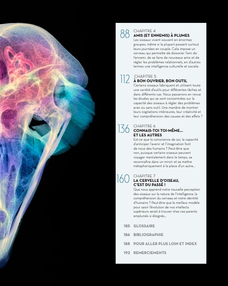 l'tonnante intelligence des oiseaux