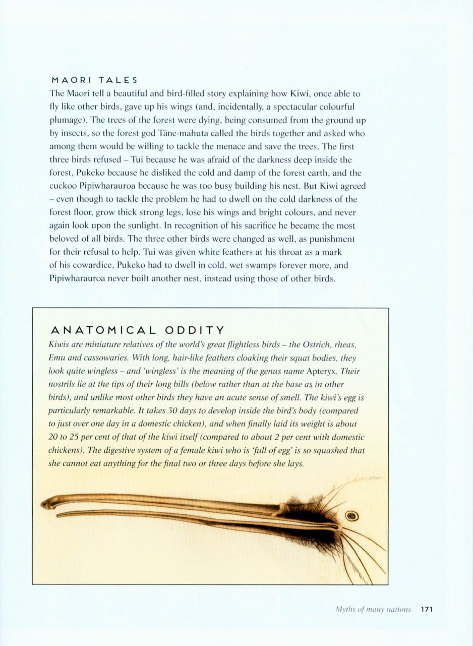 birds: myth, lore and legend