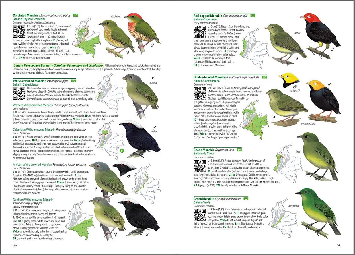 birds of colombia