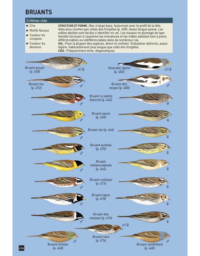 cahier d'identification des passereaux d'europe en vol