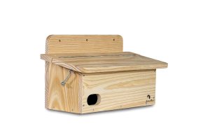 cajas nido para aves urbanas y otras aves no rapaces