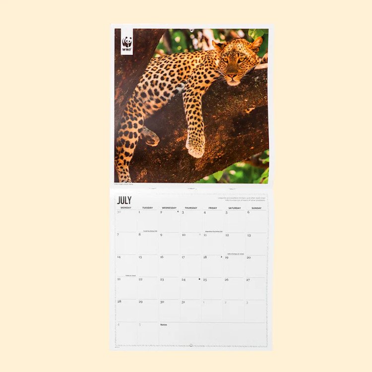 calendario wwf big cats square wall calendar 2025