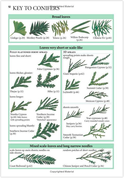 collins tree guide: the most complete field guide to the trees of britain and europe