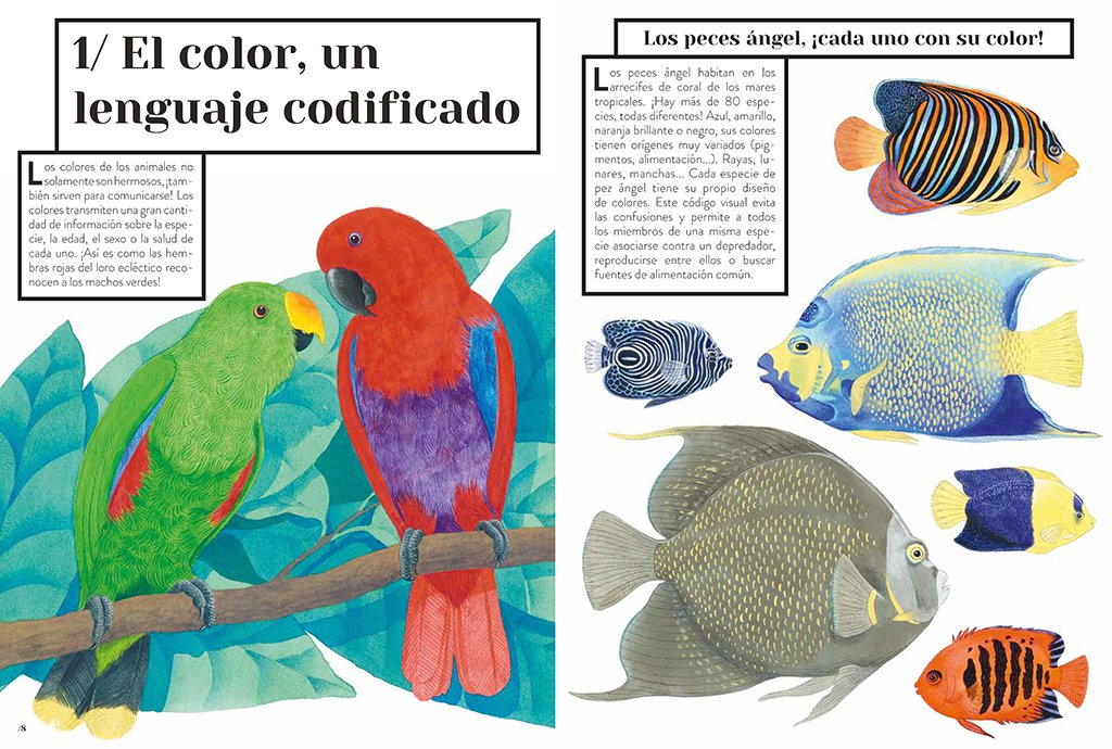 color animal