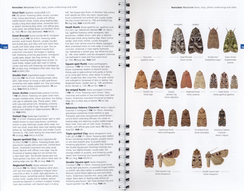 concise guide to the moths of great britain and ireland