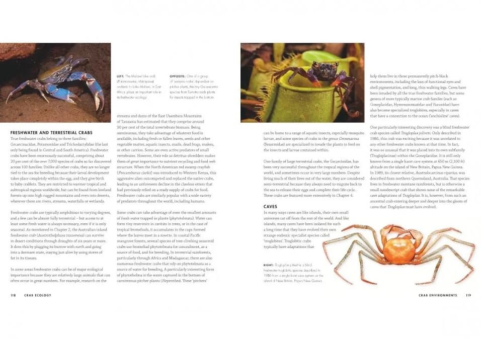 crabs. a global natural history