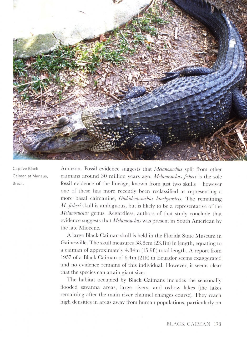 crocodiles of the world. a complete guide to alligators, caimans, crocodiles and charials