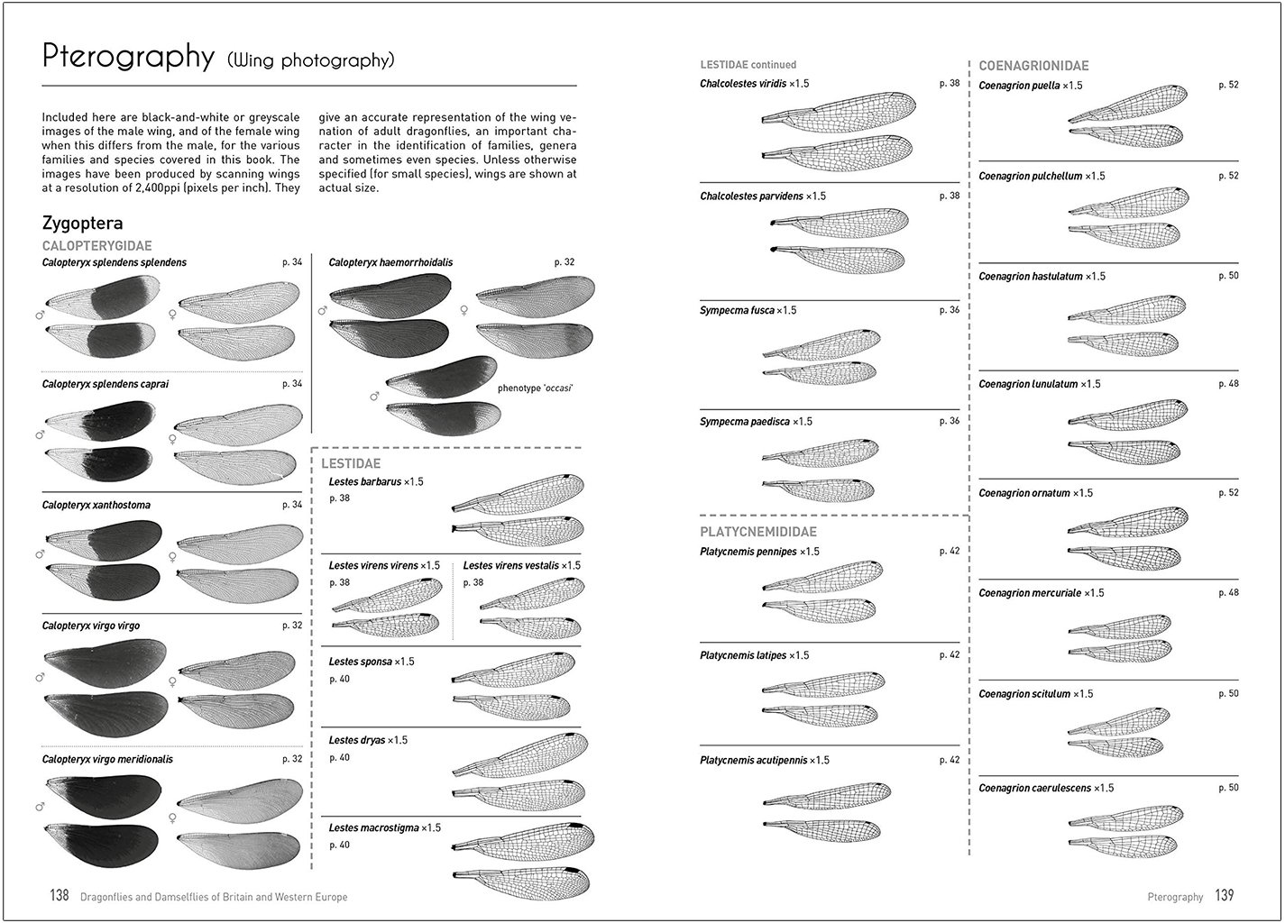 dragonflies and damselflies of britain and western europe. a photographic guide