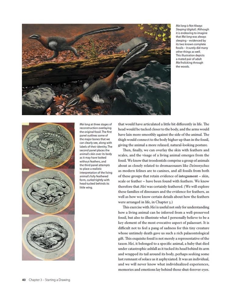 drawing and painting dinosaurs
