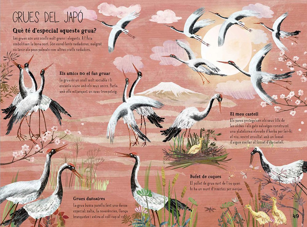 el gran llibre dels ocells