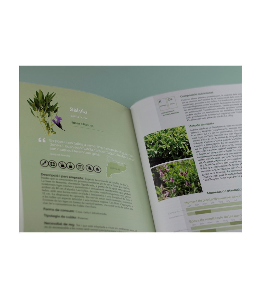 el llibre de les plantes silvestres comestibles 2
