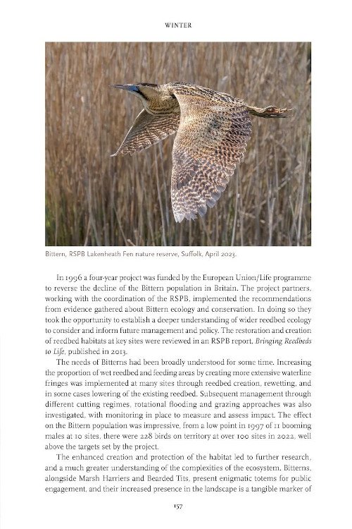fenland nature