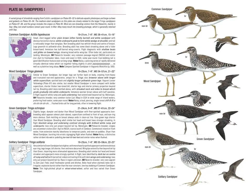 field guide to birds of greater southern africa