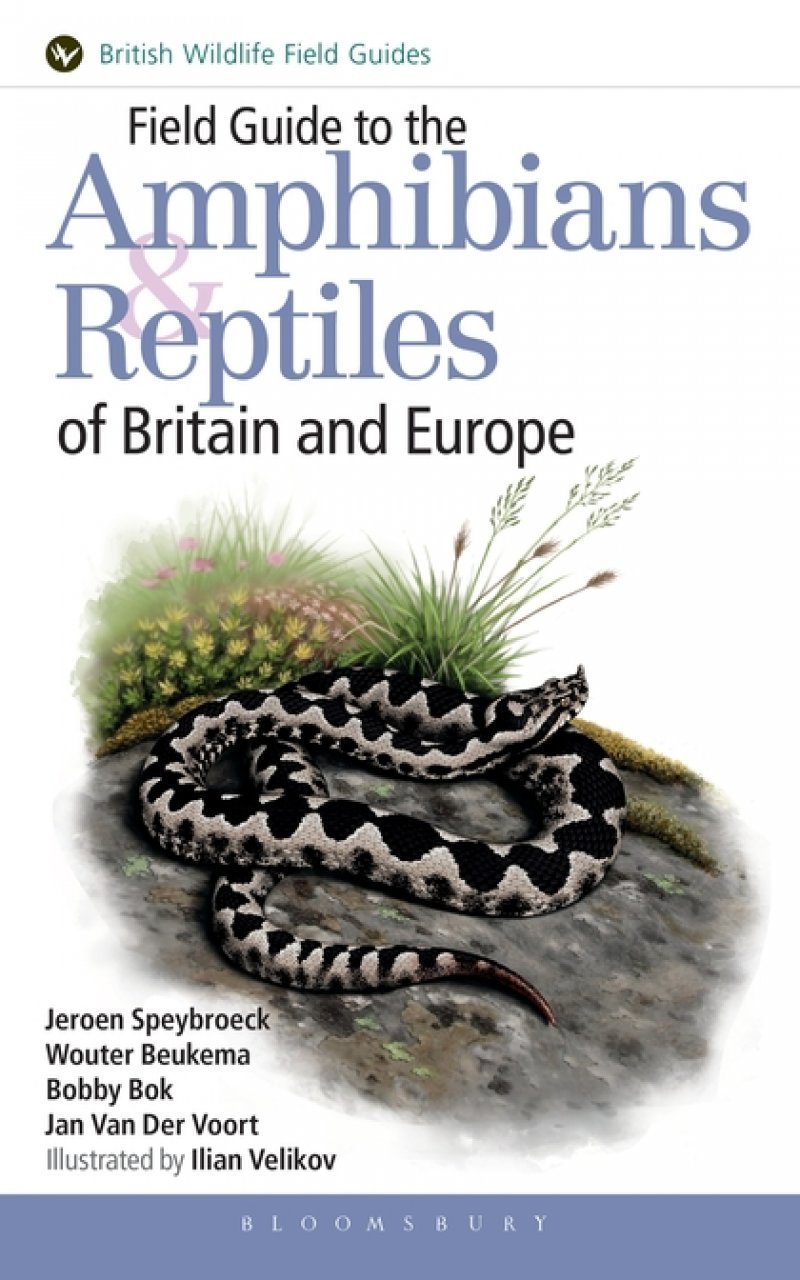 field guide to the amphibians & reptiles of britain and europe