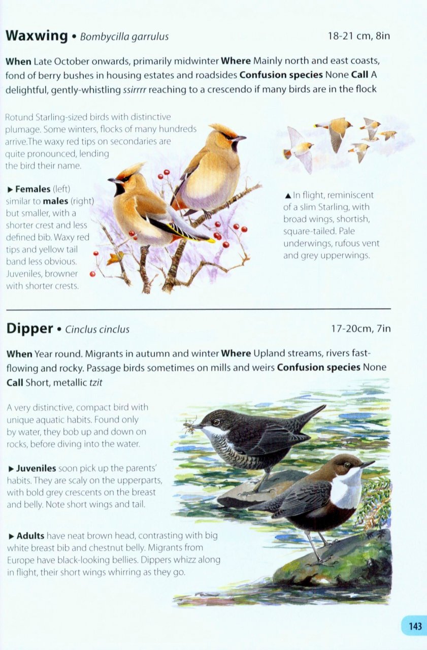 field guide to the birds of britain and ireland