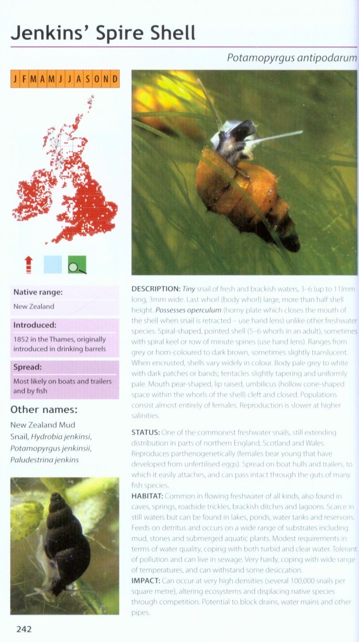 field guide to the invasive plants and animals in britain