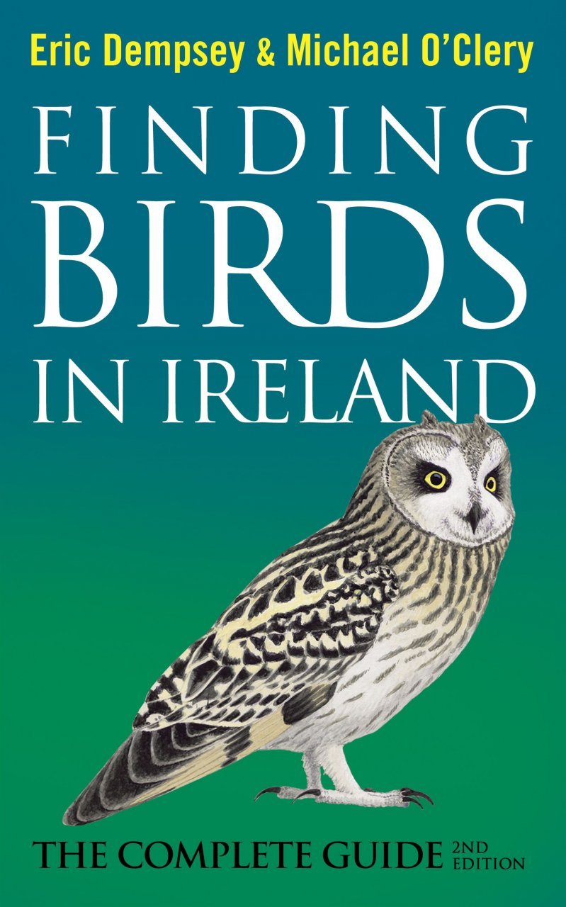 finding birds in ireland