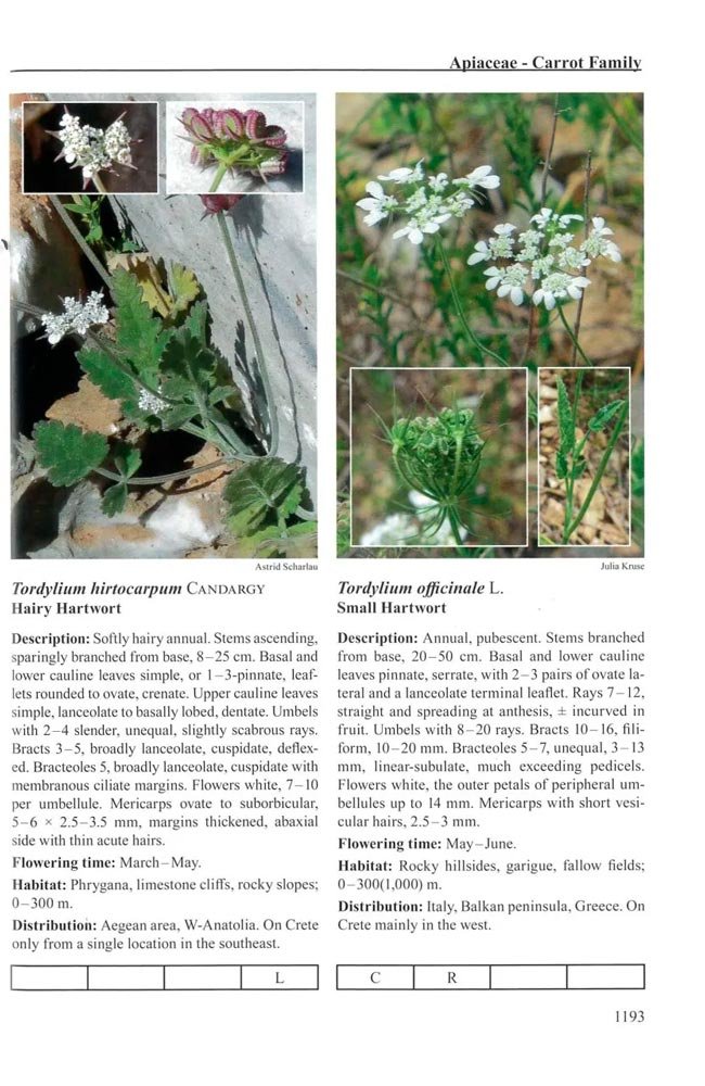 flora cretica a complete handbook of all flowering plants, lycopods and ferns occuring on the island of crete and surroundind islets