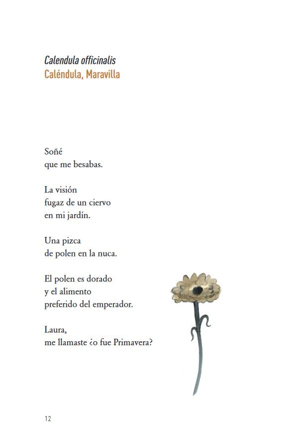 flores