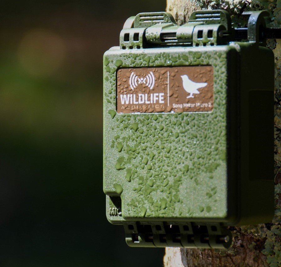 grabadora pasiva de sonidos audibles song meter micro 2 de wildlife acoustics (sm micro 2)