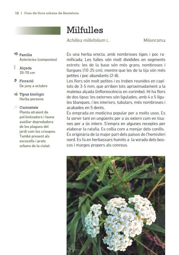 guia de flora urbana de barcelona