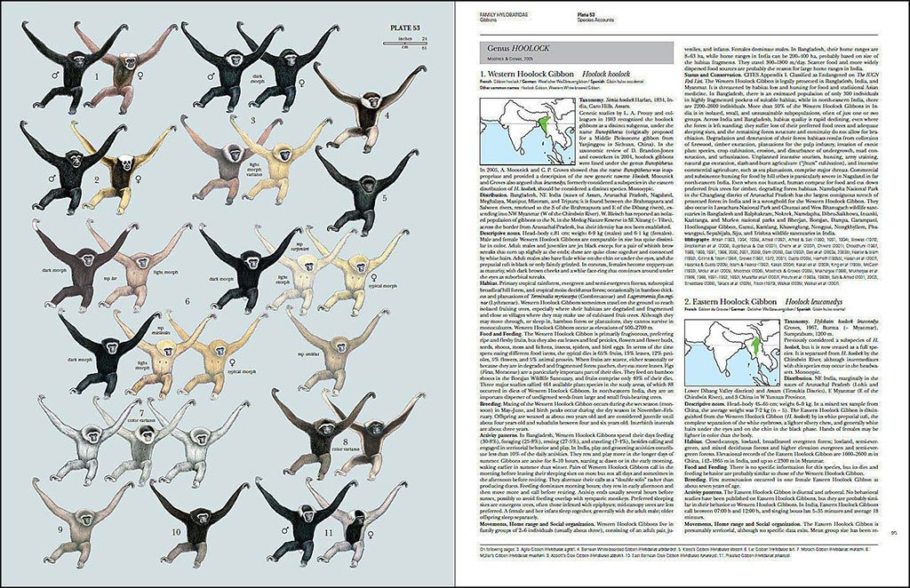 handbook of the mammals of the world. vol. 3 primates