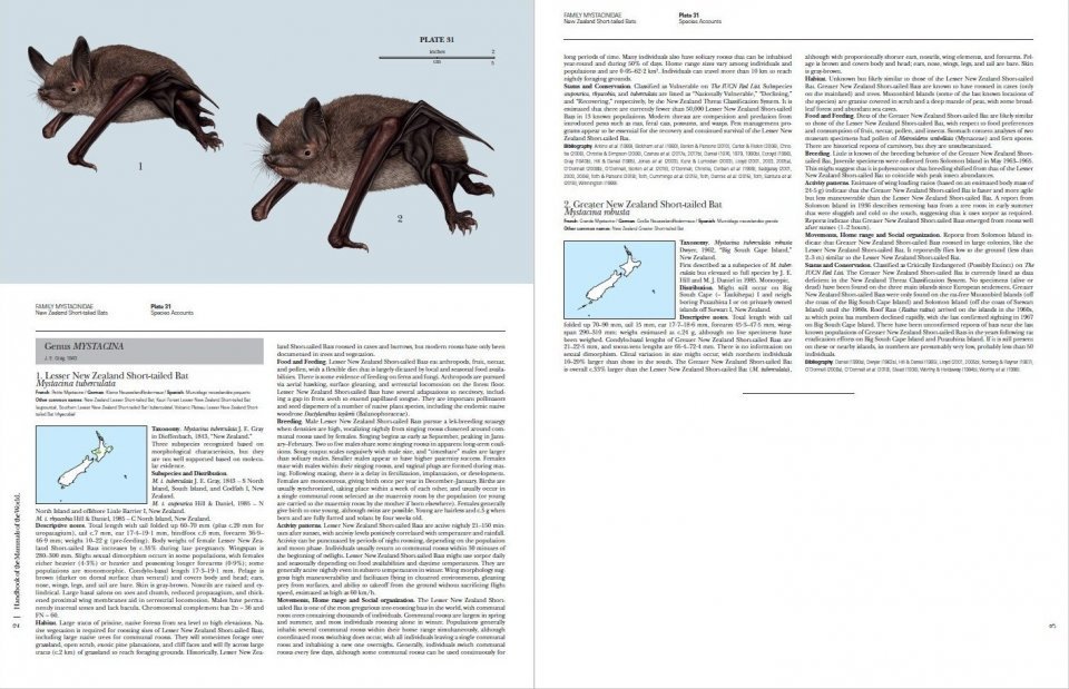 handbook of the mammals of the world. vol. 9 bats