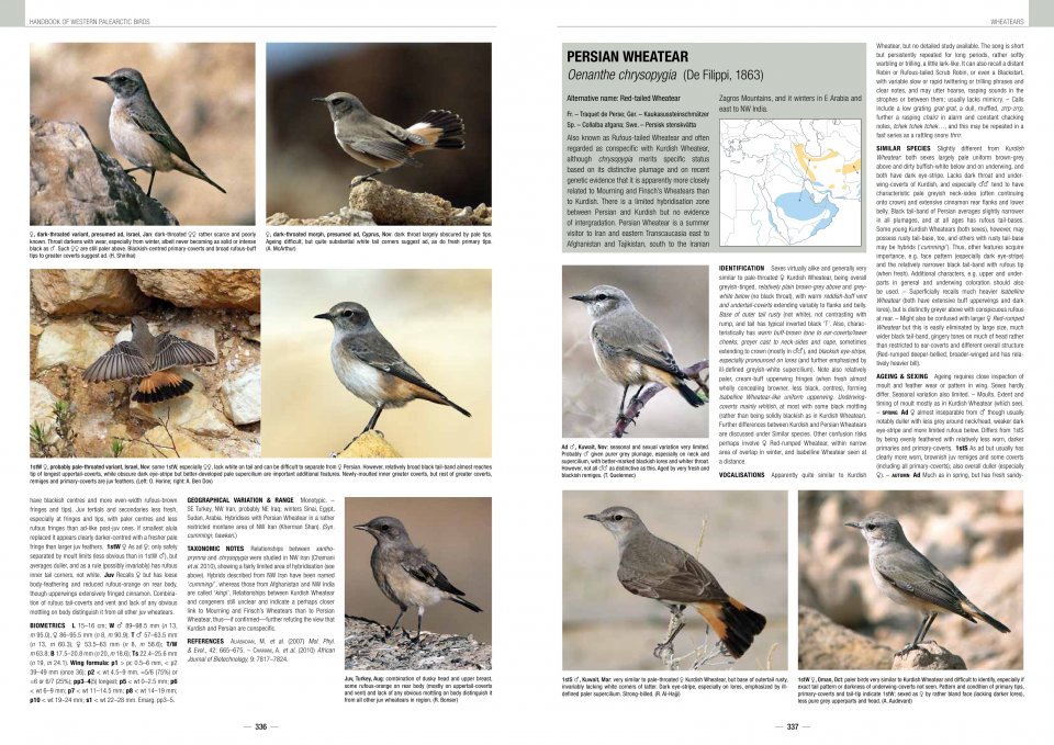 handbook of western palearctic birds. passerines